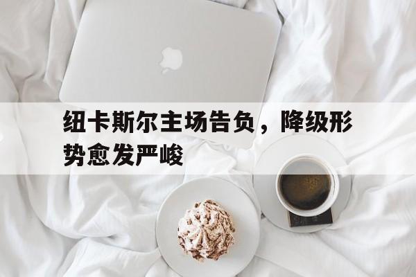 纽卡斯尔主场告负，降级形势愈发严峻-九游网页版